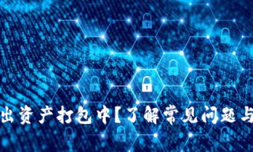 TP钱包转出资产打包中？了解常见问题与解决方案