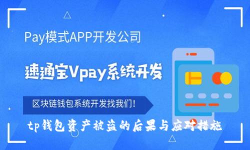 tp钱包资产被盗的后果与应对措施