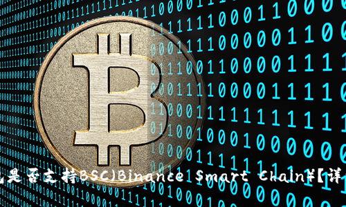 TP钱包是否支持BSC（Binance Smart Chain）？详细解析