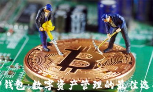 
TP钱包：数字资产管理的最佳选择