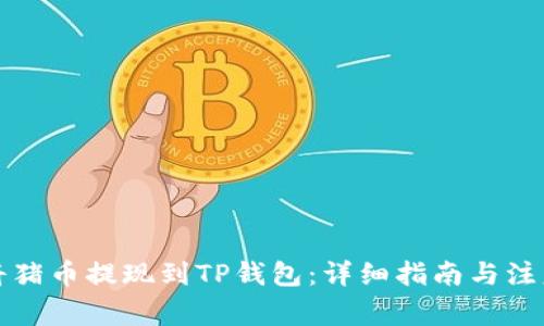 如何将猪币提现到TP钱包：详细指南与注意事项