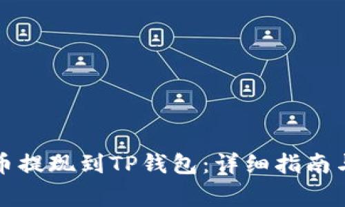 如何将猪币提现到TP钱包：详细指南与注意事项