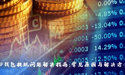 TP钱包提现问题解决指南：常见原因与解决方案