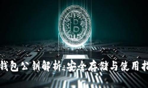 TP钱包公钥解析：安全存储与使用指南