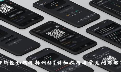 TP钱包如何选择网络？详细指南与常见问题解答