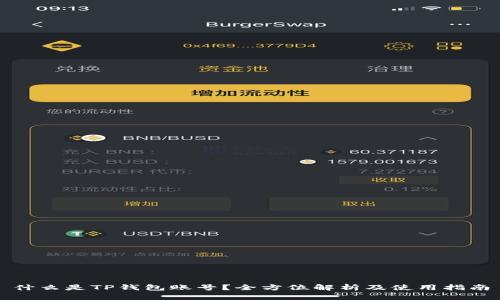 什么是TP钱包账号？全方位解析及使用指南
