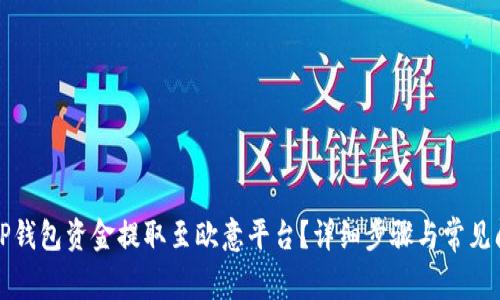 如何将TP钱包资金提取至欧意平台？详细步骤与常见问题解析