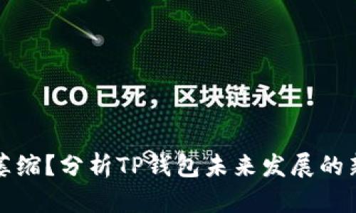 市场萎缩？分析TP钱包未来发展的新方向