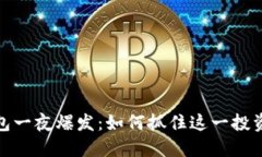 TP钱包一夜爆发：如何抓住