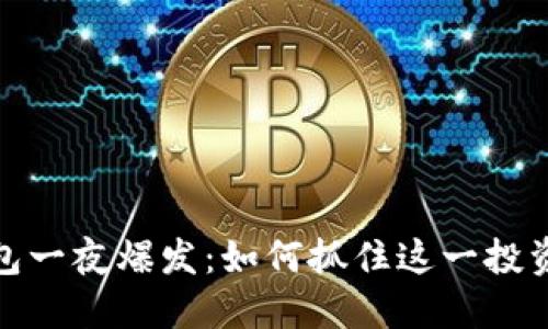 TP钱包一夜爆发：如何抓住这一投资机会