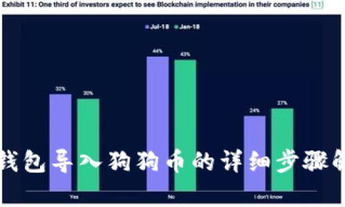 TP钱包导入狗狗币的详细步骤解析