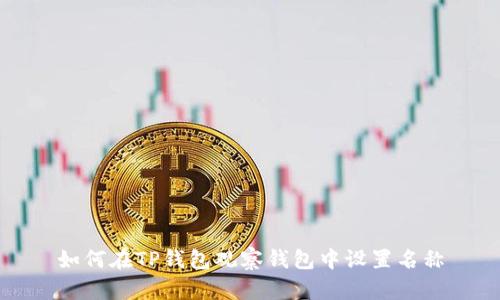 如何在TP钱包观察钱包中设置名称
