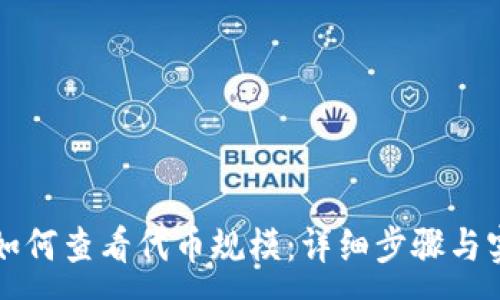 :
TP钱包如何查看代币规模：详细步骤与实用指南