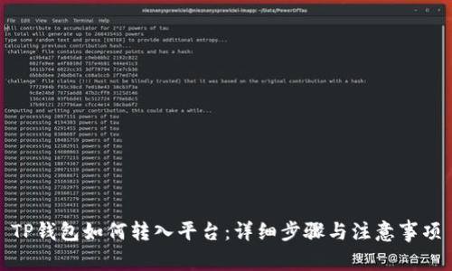 TP钱包如何转入平台：详细步骤与注意事项