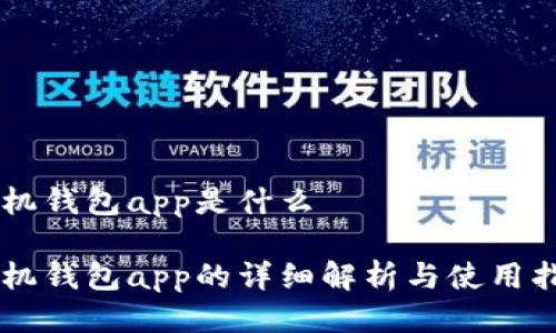 手机钱包app是什么

手机钱包app的详细解析与使用指南