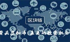全面解析骨头虚拟币：未