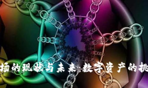 TP钱包市场的现状与未来：数字资产的挑战与机遇