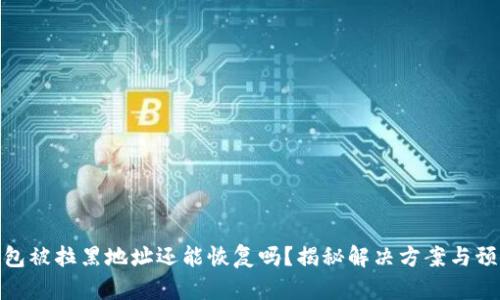 : TP钱包被拉黑地址还能恢复吗？揭秘解决方案与预防措施