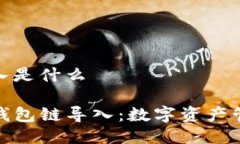 tp钱包链导入是什么深入理