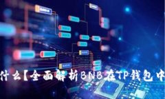 TP钱包BNB是什么？全面解析