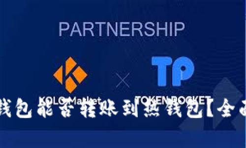 TP冷钱包能否转账到热钱包？全面解析