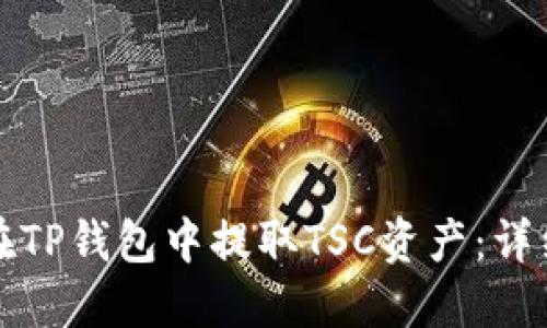 如何在TP钱包中提取TSC资产：详细指南