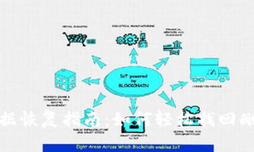 TP钱包数据恢复指南：如何轻松找回删除的数据