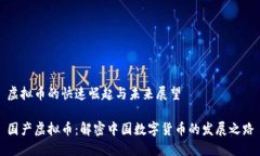 虚拟币的快速崛起与未来