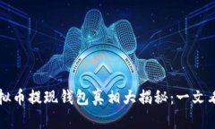 虚拟币提现钱包真相大揭秘：一文看懂