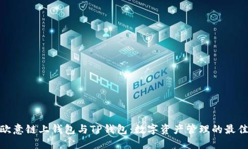 探索欧意链上钱包与TP钱包：数字资产管理的最佳选择