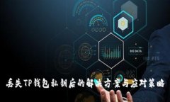 丢失TP钱包私钥后的解决方案与应对策略