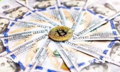 深入解析虚拟币钱包的工作原理与安全机制