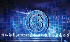 深入解析：ANYSYS虚拟币的投资与发展潜力