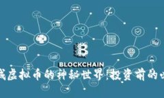 探索诸城虚拟币的神秘世