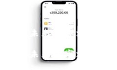 BPAY虚拟币：未来数字支付的优质选择BPAY虚拟币：