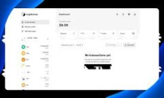 fz虚拟币：未来数字经济的