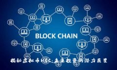 揭秘虚拟币MIC：未来投资