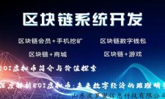 EOI虚拟币简介与价值探索