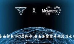 全面解析TMS虚拟币：未来