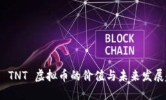 探索 TNT 虚拟币的价值与未