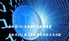 虚拟币CSS：全面解析与未