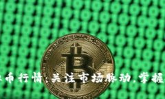 实时虚拟币行情：关注市
