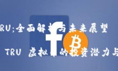 虚拟币 TRU：全面解析与未