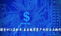 探索WCS虚拟币：未来数字