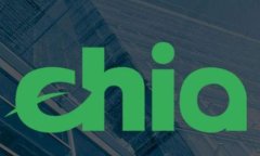 深入了解虚拟币DASH：安全