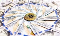 详细介绍在数字货币的世界里，钱包扮演着极为