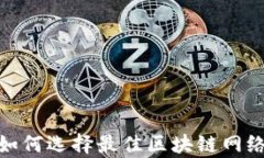 TP钱包的通道解析：如何选择最佳区块链网络进行