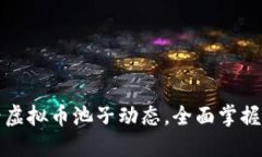 如何查看虚拟币池子动态