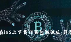 如何在iOS上下载TP钱包测试版：详尽指南