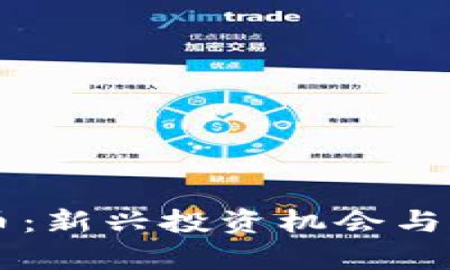 FP虚拟币：新兴投资机会与风险分析